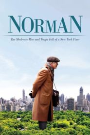 Norman: egy New York-i fixer mérsékelt tündöklése és tragikus bukása filminvazio.hu